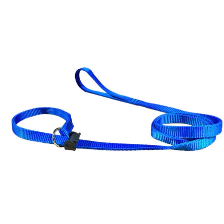Guia Para Adestramento e Passeio Azul