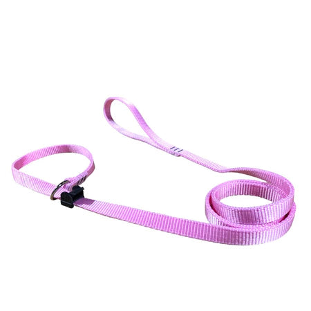 Guia Para Adestramento e Passeio Rosa